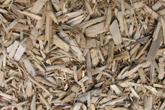 biomass boilers Capplegill