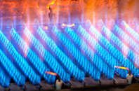 Capplegill gas fired boilers